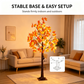 ✨ LED-Ahornbaum – Schaffe eine gemütliche Thanksgiving-Stimmung in deinem Zuhause!🍁