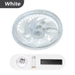 🌞Frühlingserwachen: 58% Rabatt!💡2-in-1 dimmbare Deckenventilatorlampe mit Fernbedienung – Leise, verstellbar und platzsparend