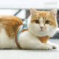 ⚡⚡ Leuchtendes Geschirr und Leine für Katzen