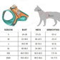 ⚡⚡ Leuchtendes Geschirr und Leine für Katzen