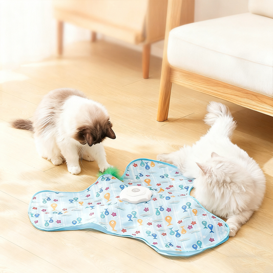 🔥⏰Sparen Sie jetzt 30 € beim Kauf!🔥2-in-1-Katzenspielzeug zum Verstecken