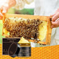 ⏰ LETZTER TAG 50 % RABATT👩‍⚕️Umfassende Creme mit Bienengift