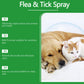 Natürliches Floh- und Zeckenspray für Hunde und Katzen