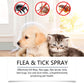 Natürliches Floh- und Zeckenspray für Hunde und Katzen