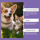 Sanfte Augenspülung für Hunde und Katzen