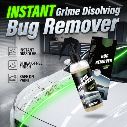 Reinigungsspray gegen Schmutz und Insektenrückstände für das Auto